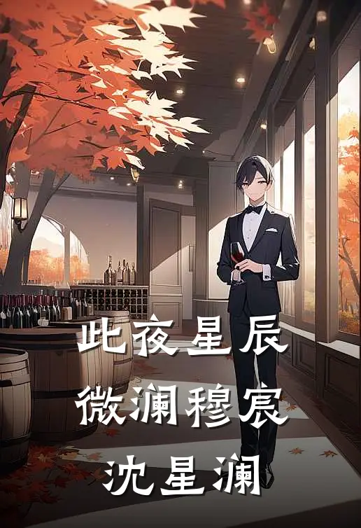 此夜星辰微澜穆宸沈星澜